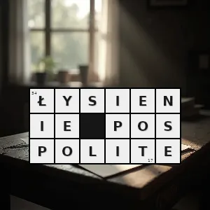 Hasło krzyżówkowe stan chorobowy atakujący mężczyzn po czterdziestym roku życia którego objawem jest wypadanie włosów - łysienie pospolite – rozwiązanie, synonimy, podpowiedzi i definicje krzyżówkowe